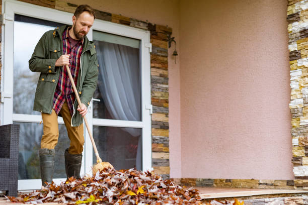 Best Basement Cleanout Services  in Lake Pocotopaug, CT